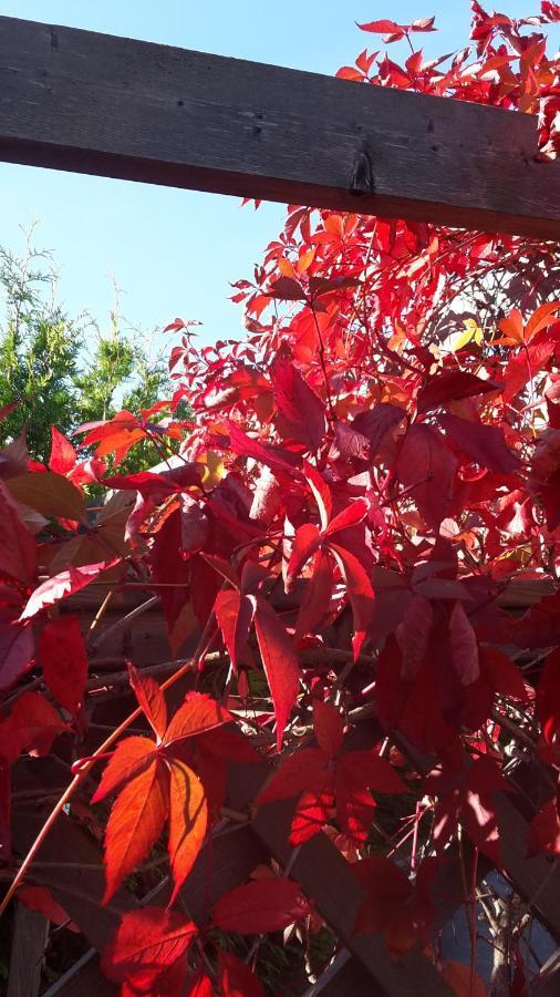לינה וארוחת בוקר Härnösand Soergardens Logi מראה חיצוני תמונה